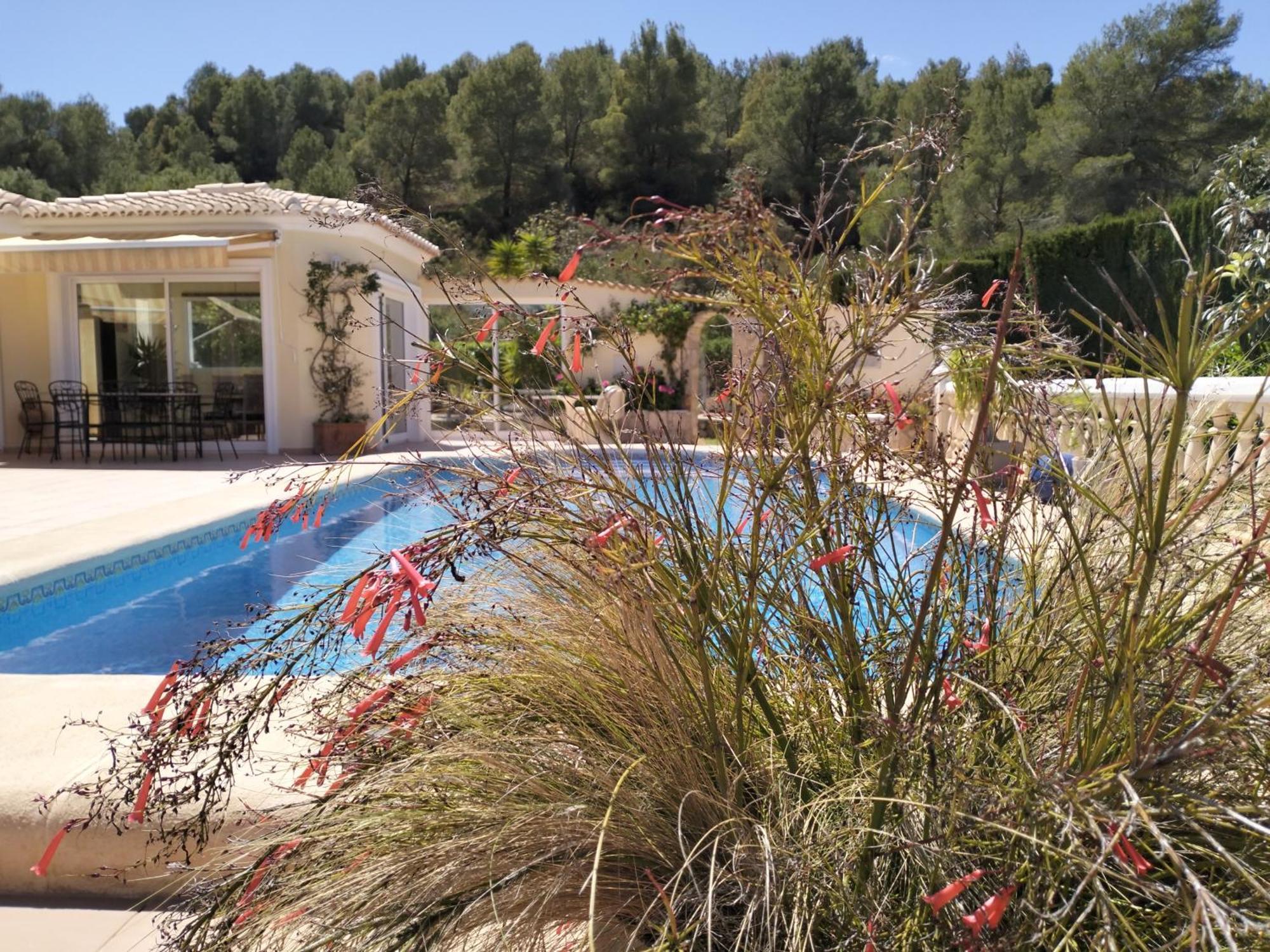 Villa Luxueuse Denia Exterior photo